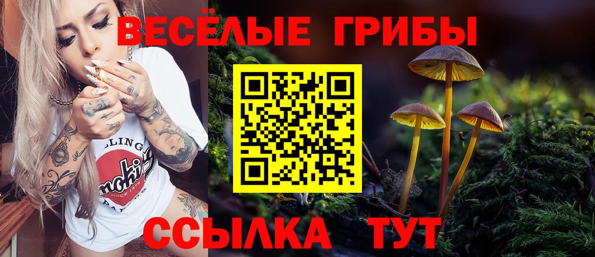 Ачхой-Мартан  Псилоцибиновые грибы GOLDEN TEACHER  Вход с VPN  Псилоцибиновые грибы GOLDEN TEACHER 